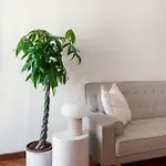 Leonina Art Loft * רומא
